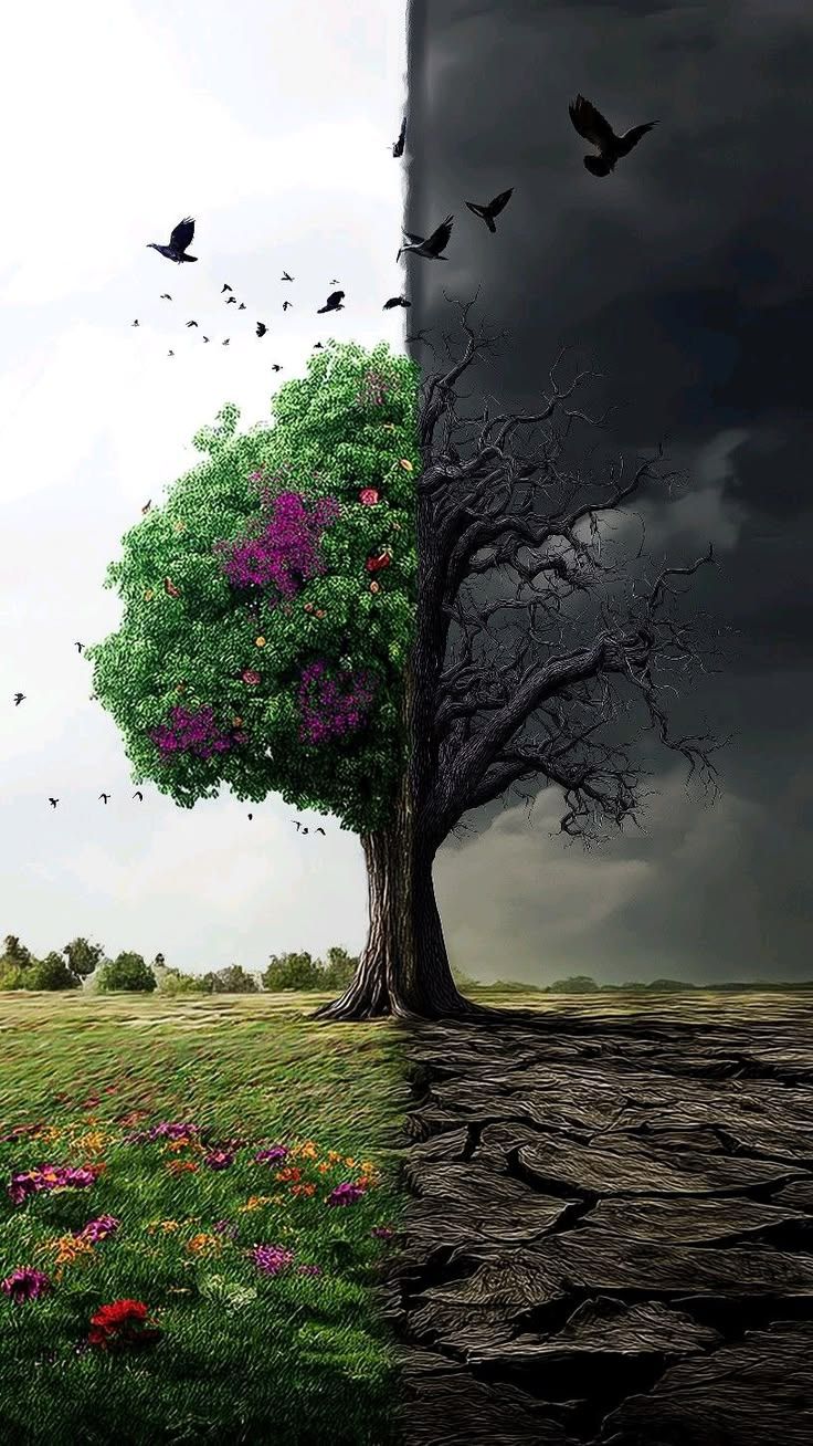 The Two Sides of Life That Exists Together